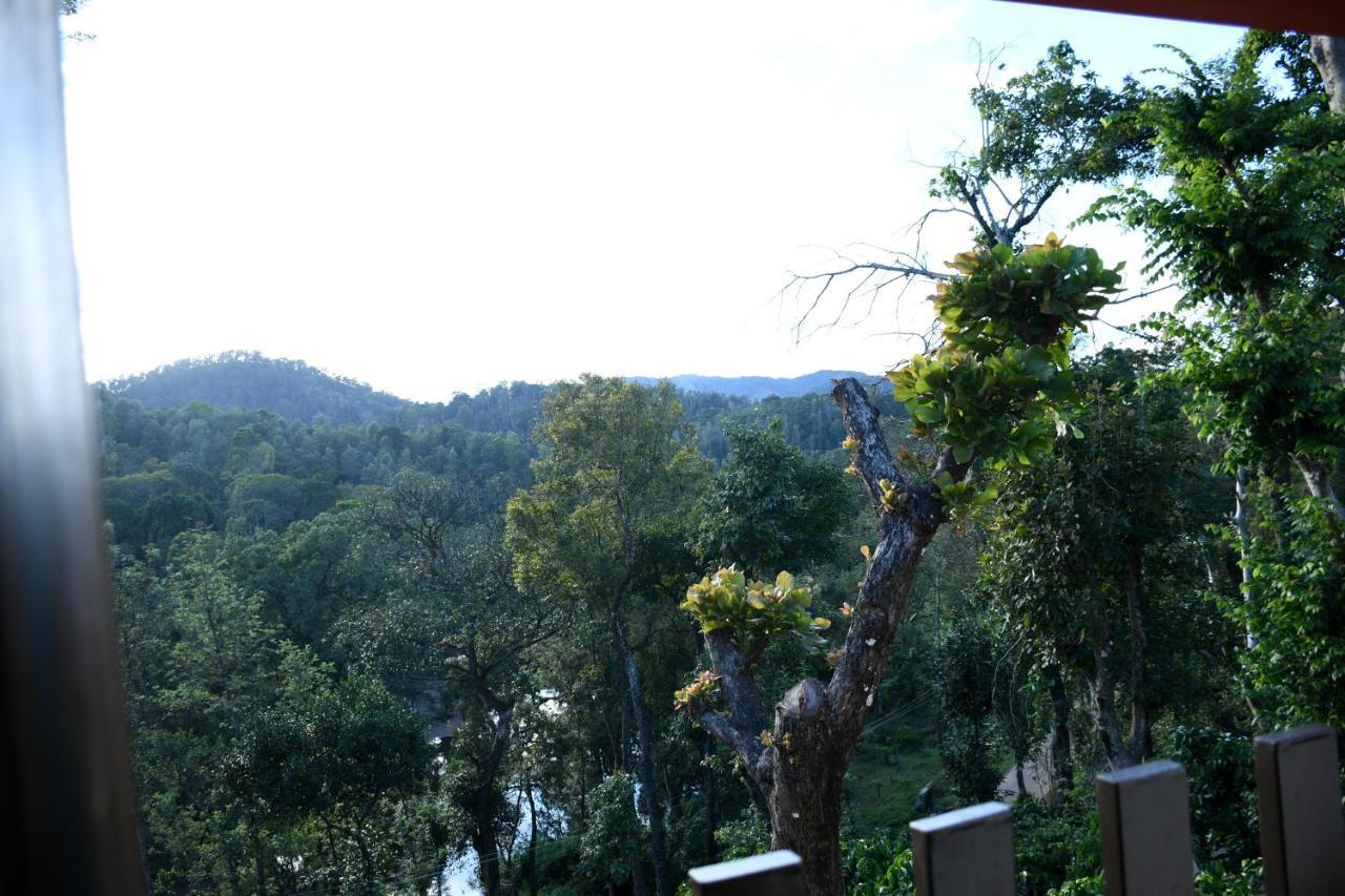 River View Guest House Madikeri Kültér fotó
